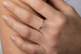 Le Bouquet is a fine bouquet ring made with 18k yellow gold and simulated diamonds.  Featuring a gorgeous flower design, this showstopper is a very feminine and delicate ring and it's the ultimate femme cocktail ring. Look no further if you are looking for that perfect piece to compliment your special occasion look.